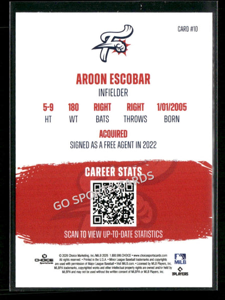 2026 Reading Fightin Phils Top 10 Prospect Aroon Escobar