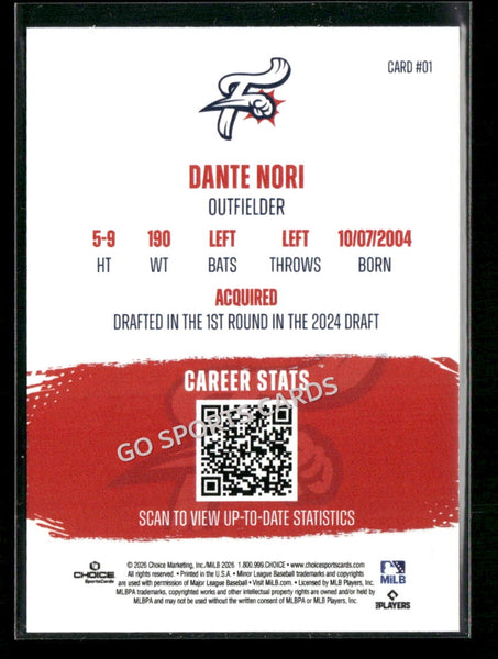 2026 Reading Fightin Phils Top 10 Prospect Dante Nori