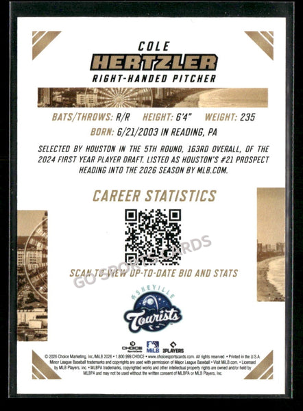 2026 South Atlantic League Top Prospects SAL Cole Hertzler