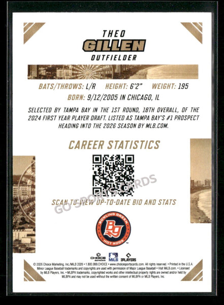 2026 South Atlantic League Top Prospects SAL Theo Gillen