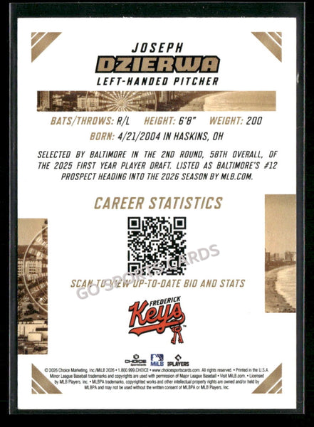 2026 South Atlantic League Top Prospects SAL Joseph Dzierwa