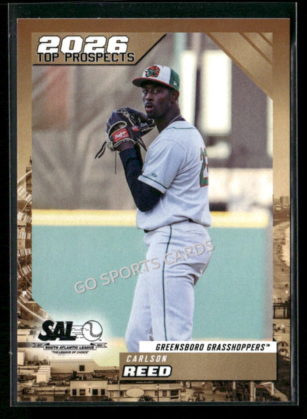2026 South Atlantic League Top Prospects SAL Carlson Reed