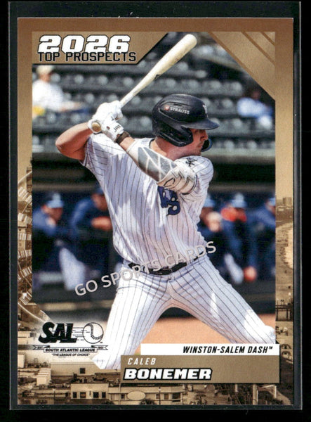 2026 South Atlantic League Top Prospects SAL Caleb Bonemer