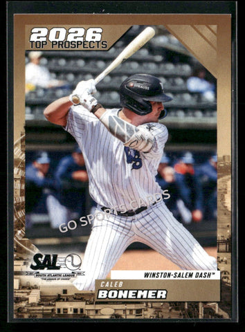 2026 South Atlantic League Top Prospects SAL Caleb Bonemer