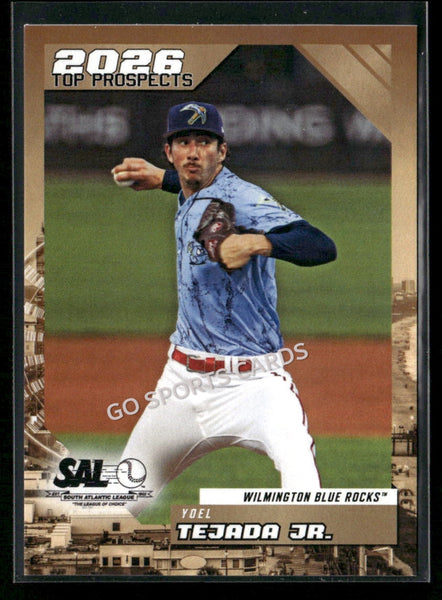 2026 South Atlantic League Top Prospects SAL Yoel Tejada Jr