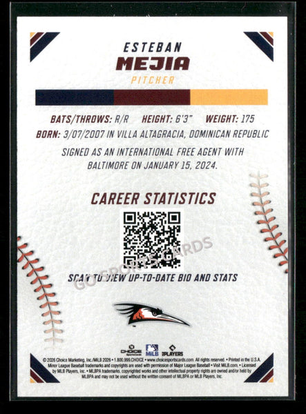 2026 Carolina League Top Prospects Esteban Mejia