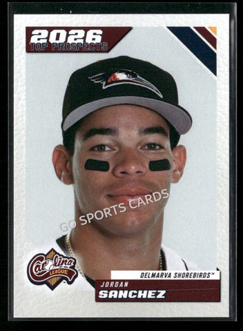 2026 Carolina League Top Prospects Jordan Sanchez