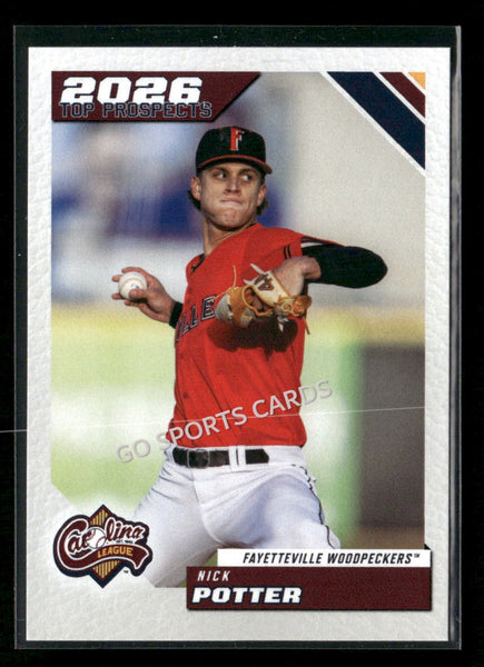 2026 Carolina League Top Prospects Nick Potter