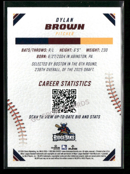 2026 Carolina League Top Prospects Dylan Brown