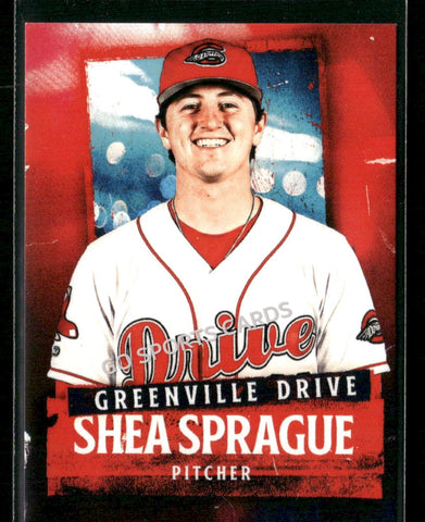 2026 Greenville Drive Shea Sprague