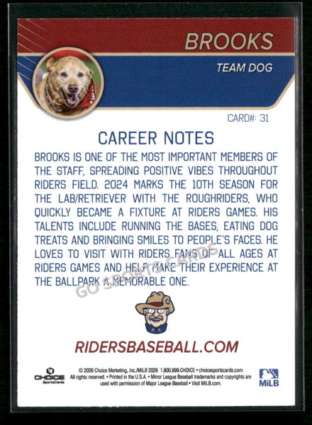 2026 Frisco RoughRiders Brooks Dog