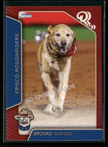 2026 Frisco RoughRiders Brooks Dog