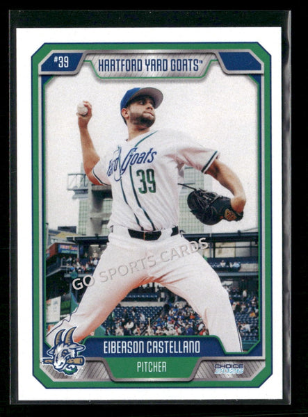 2026 Hartford Yard Goats Eiberson Castellano