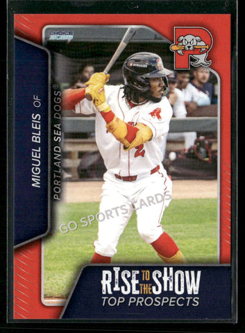 2026 Portland Sea Dogs Rise to the Show Top Prospects Miguel Bleis