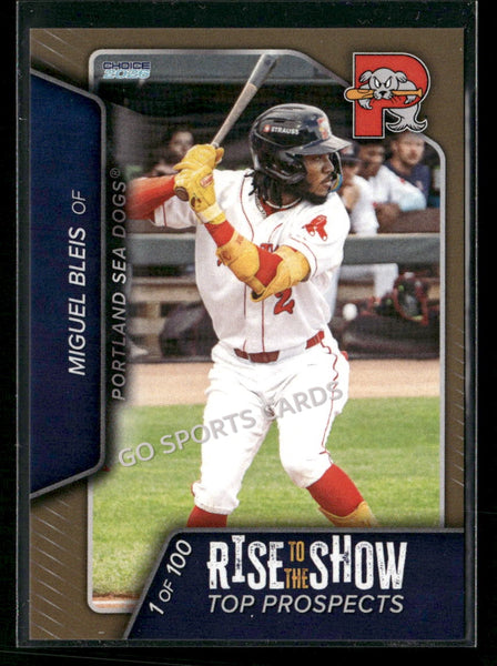 2026 Portland Sea Dogs Rise to the Show Top Prospects GOLD Miguel Bleis