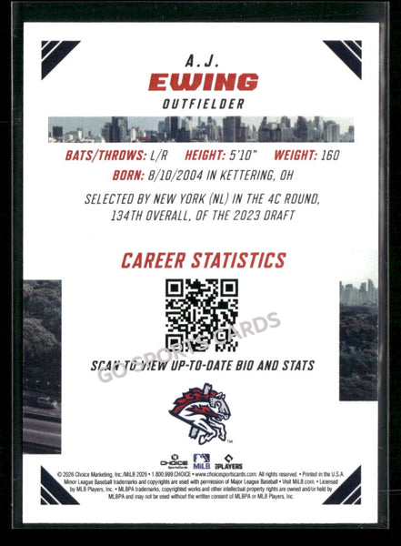 2026 Eastern League Top Prospects AJ Ewing