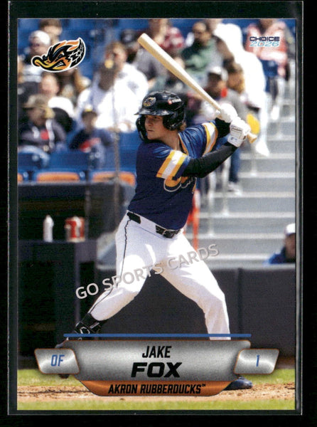 2026 Akron RubberDucks Jake Fox