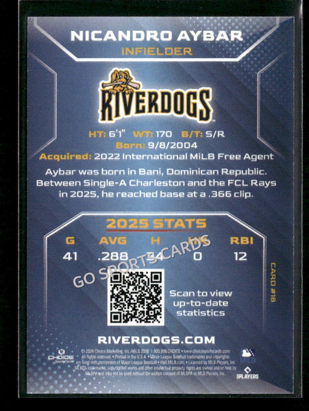 2026 Charleston RiverDogs Nicandro Aybar