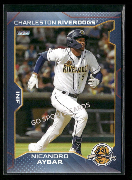 2026 Charleston RiverDogs Nicandro Aybar