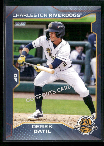 2026 Charleston RiverDogs Derek Datil
