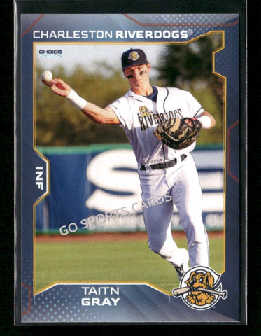 2026 Charleston RiverDogs Taitn Gray