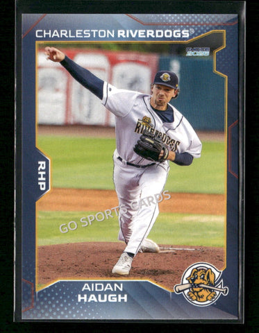 2026 Charleston RiverDogs Aidan Haugh