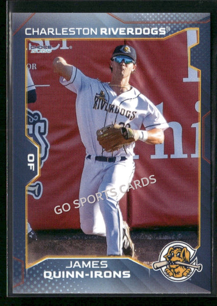 2026 Charleston RiverDogs James Quinn Irons