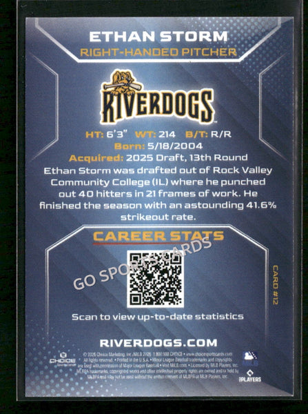 2026 Charleston RiverDogs Ethan Storm