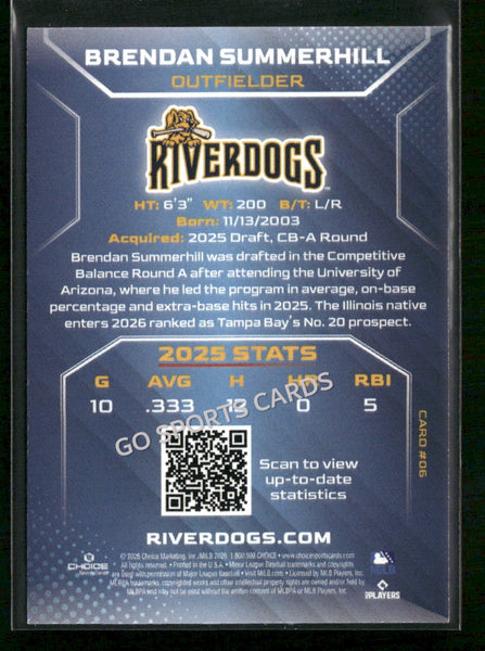 2026 Charleston RiverDogs Brendan Summerhill