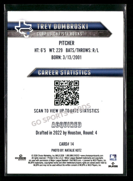 2026 Corpus Christi Hooks Trey Dombroski