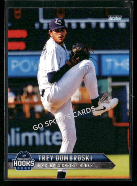 2026 Corpus Christi Hooks Trey Dombroski