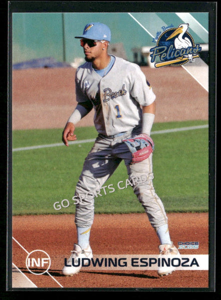 2026 Myrtle Beach Pelicans Ludwing Espinoza