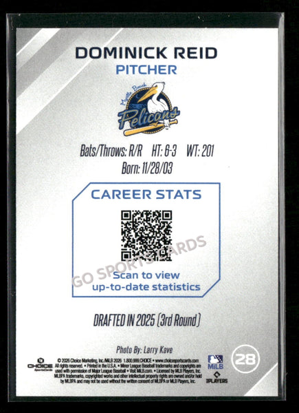 2026 Myrtle Beach Pelicans Dominick Reid