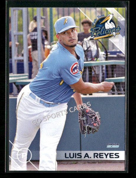 2026 Myrtle Beach Pelicans Luis A Reyes