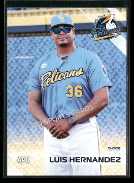 2026 Myrtle Beach Pelicans Luis Hernandez