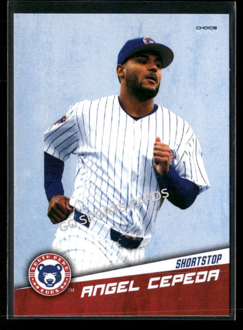 2026 South Bend Cubs Angel Cepeda