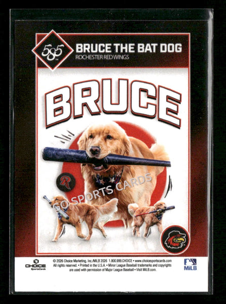 2026 Rochester Red Wings Bruce the Bat Dog
