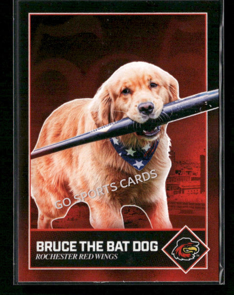 2026 Rochester Red Wings Bruce the Bat Dog