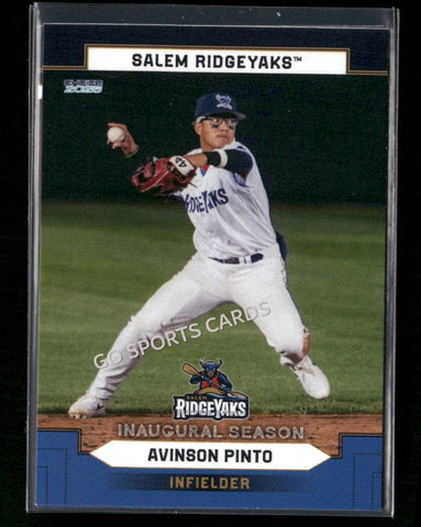 2026 Salem RidgeYaks Avinson Pinto