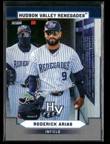 2026 Hudson Valley Renegades Roderick Arias