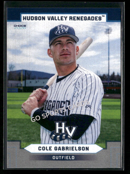 2026 Hudson Valley Renegades Cole Gabrielson