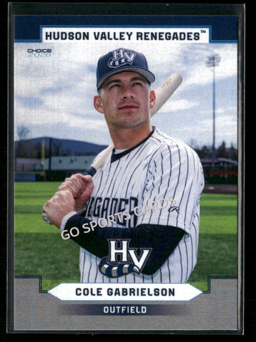 2026 Hudson Valley Renegades Cole Gabrielson