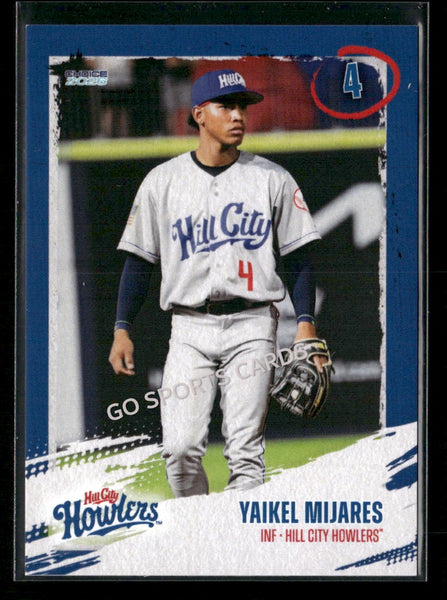 2026 Hill City Howlers Yaikel Mijares