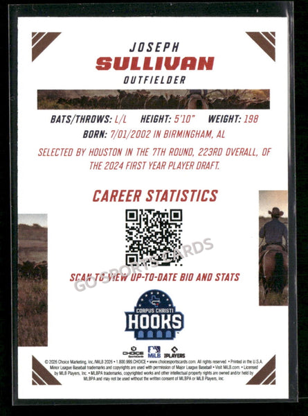 2026 Texas League Top Prospects Joseph Sullivan