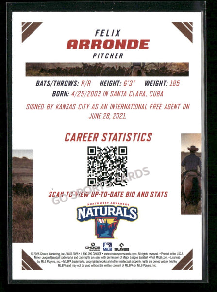 2026 Texas League Top Prospects Felix Arronde