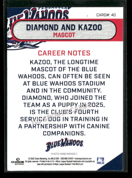 2026 Pensacola Blue Wahoos Diamond Kazoo Mascot