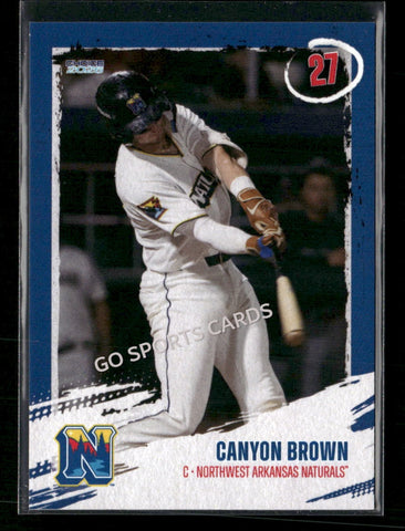 2026 Northwest Arkansas Naturals Canyon Brown