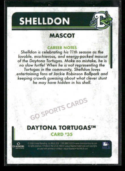 2026 Daytona Tortugas Shelldon Mascot