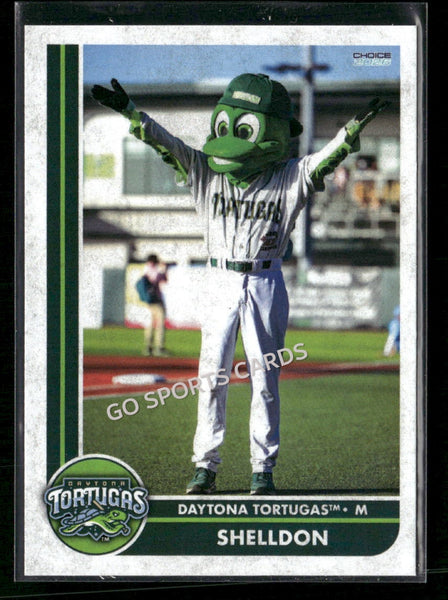 2026 Daytona Tortugas Shelldon Mascot