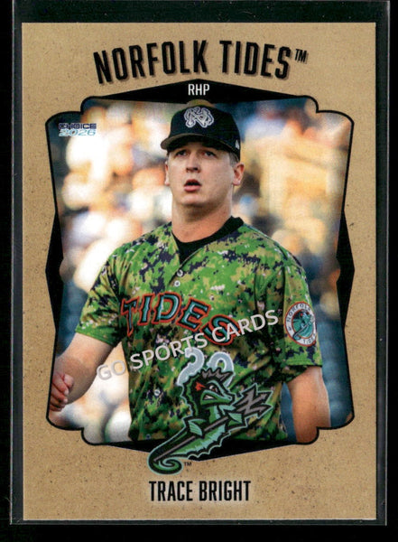 2026 Norfolk Tides Trace Bright
